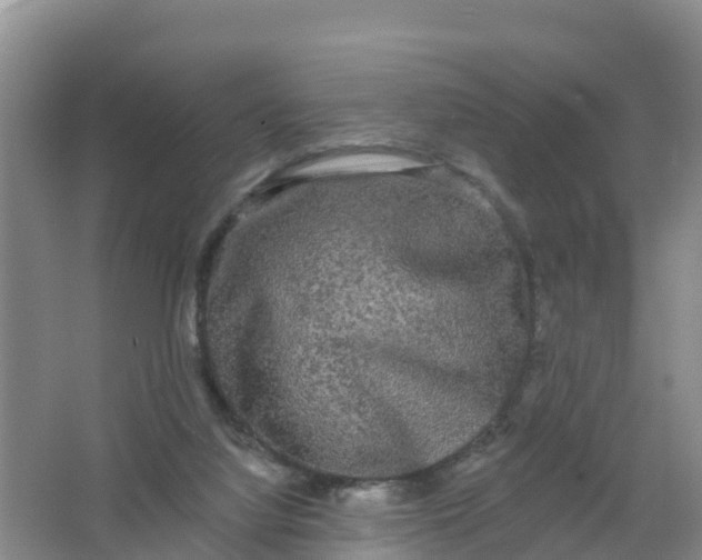 X0000066930068200604071857