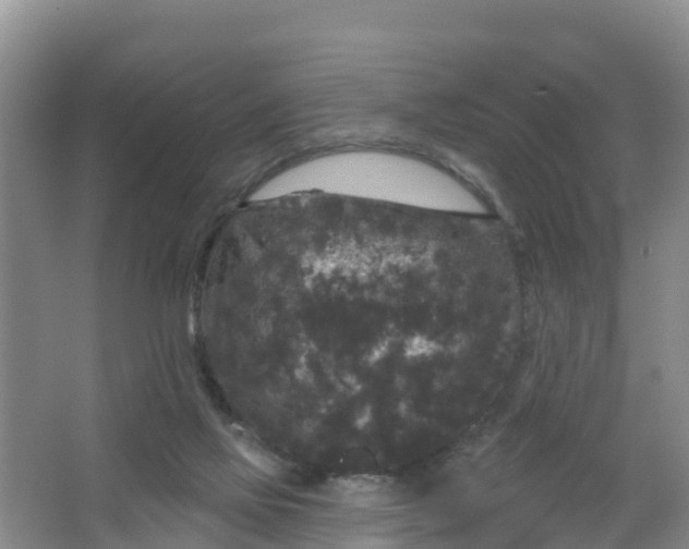 X0000066930069200604071857