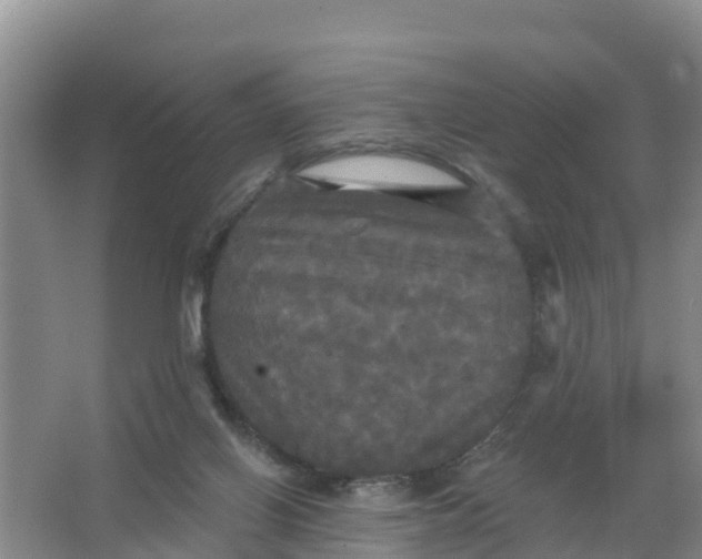 X0000066930070200604071857