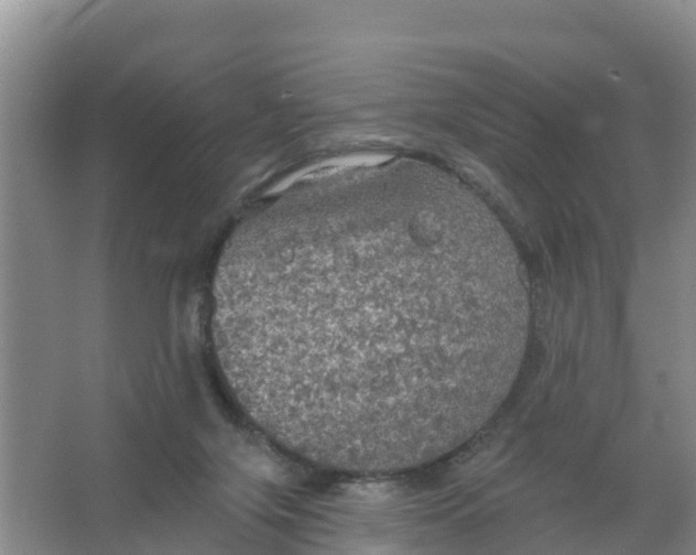 X0000066930071200604071857