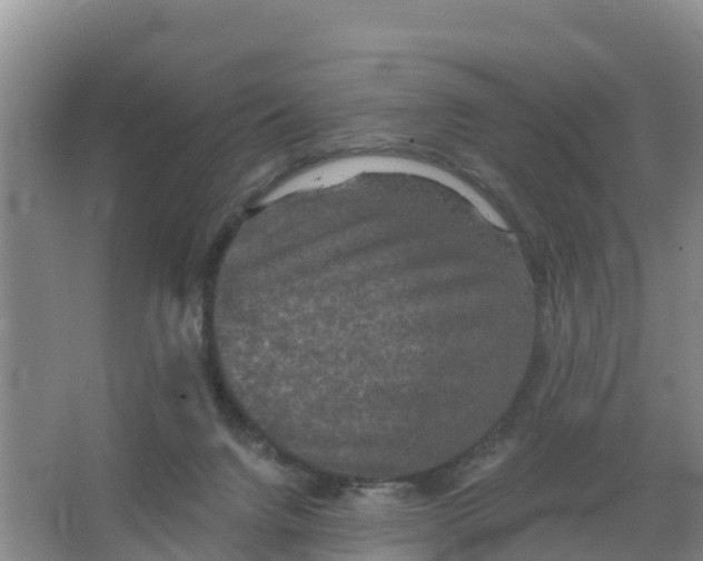 X0000066930072200604071857