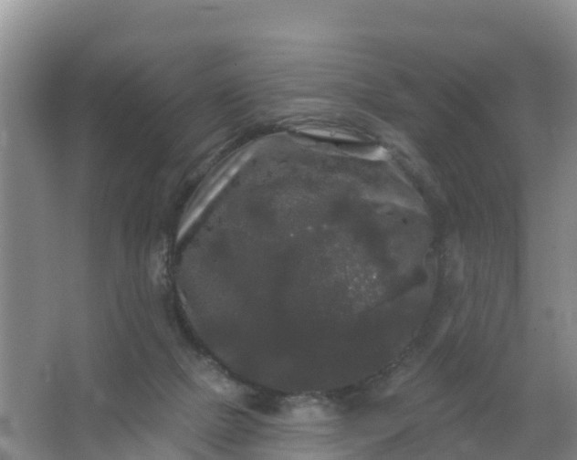 X0000066930073200604071857