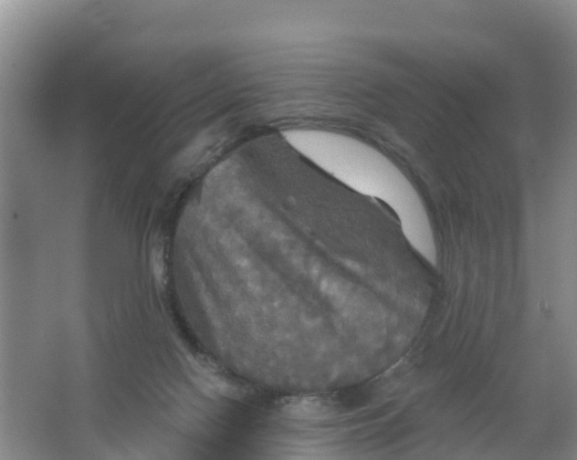 X0000066930074200604071857