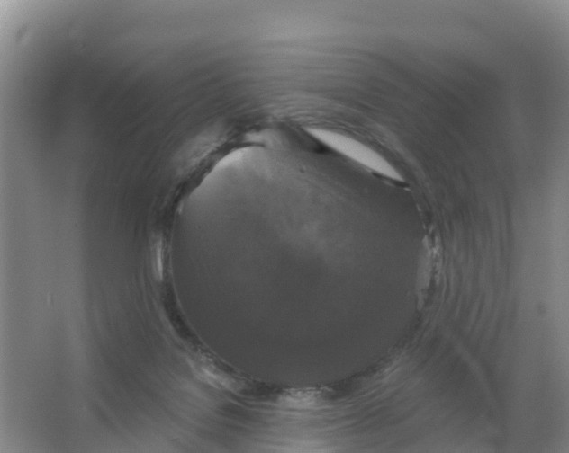 X0000066930076200604071857