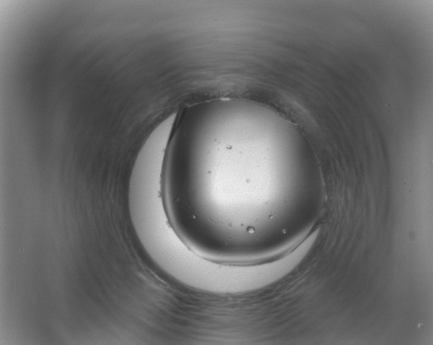 X0000066930077200604071857