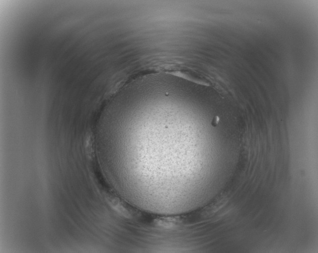 X0000066930079200604071857