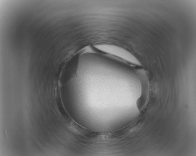 X0000066930080200604071857