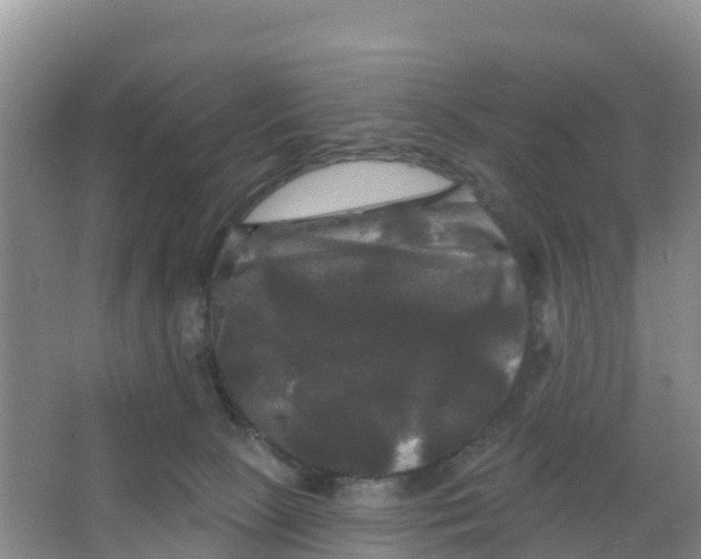 X0000066930081200604071857