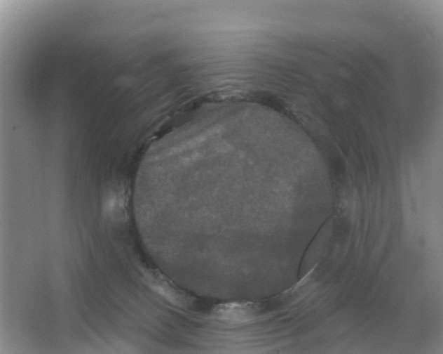 X0000066930082200604071857