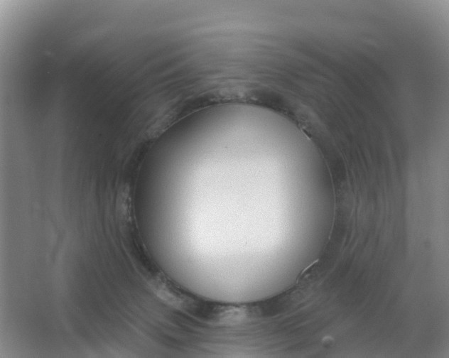 X0000066930083200604071857