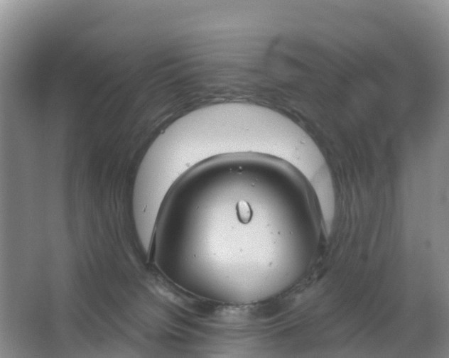 X0000066930084200604071857