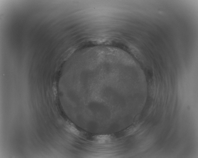 X0000066930085200604071857