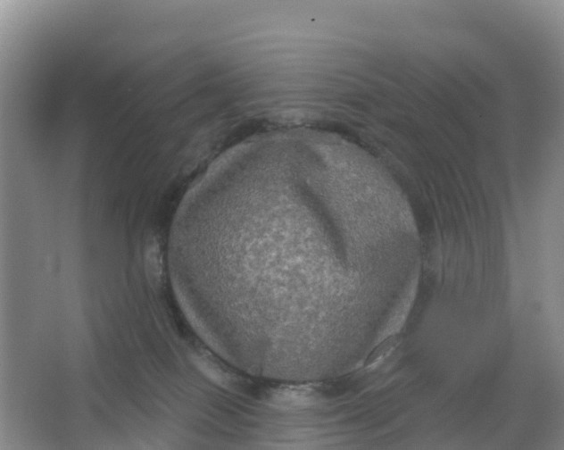 X0000066930086200604071857