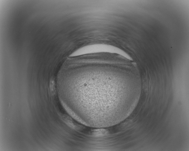 X0000066930087200604071857