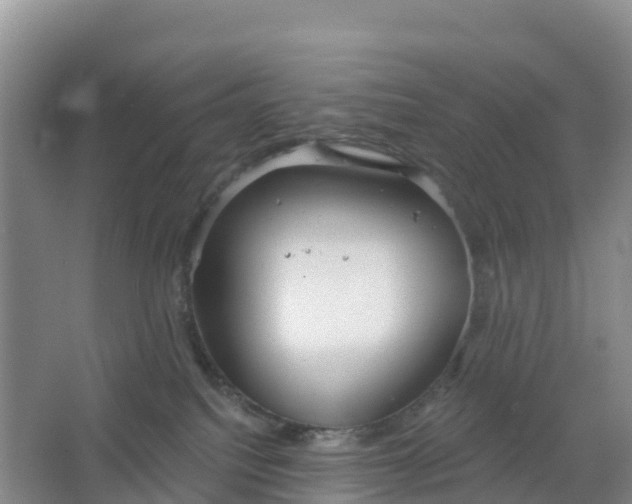 X0000066930088200604071857