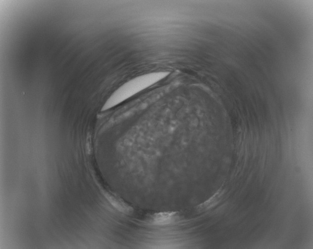 X0000066930090200604071857