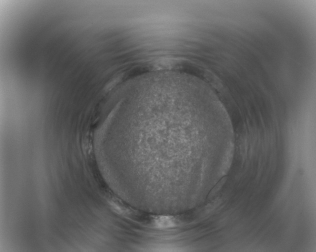 X0000066930091200604071857