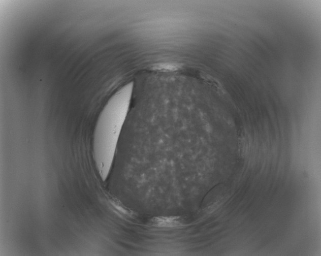 X0000066930093200604071857