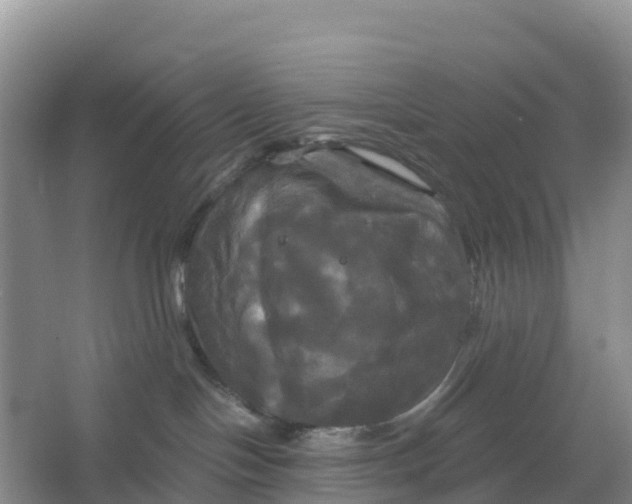 X0000066930094200604071857