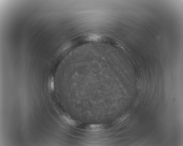 X0000066930095200604071857