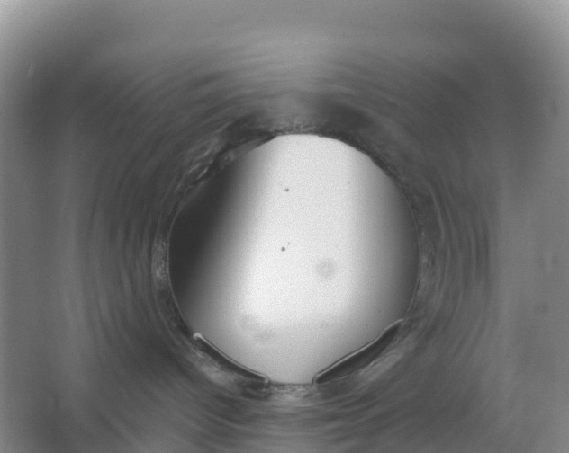 X0000066930096200604071857