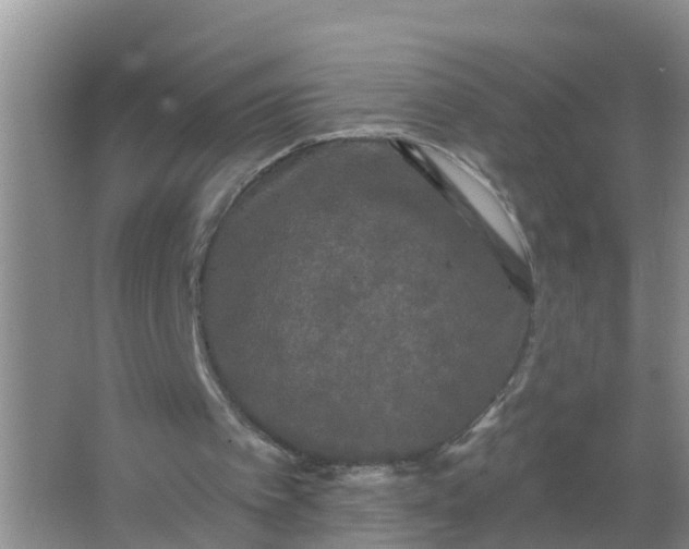 X0000066930097200604071857