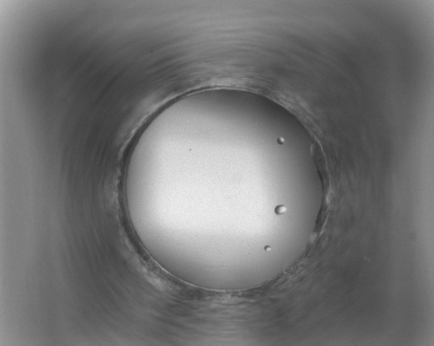 X0000066930098200604071857