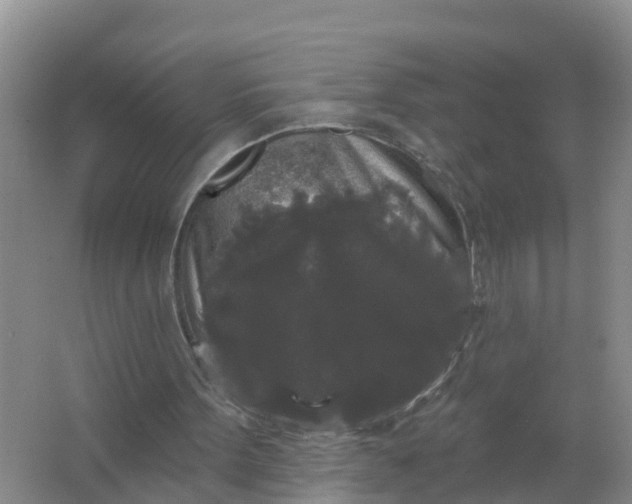 X0000066930099200604071857