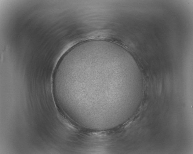 X0000066930100200604071857