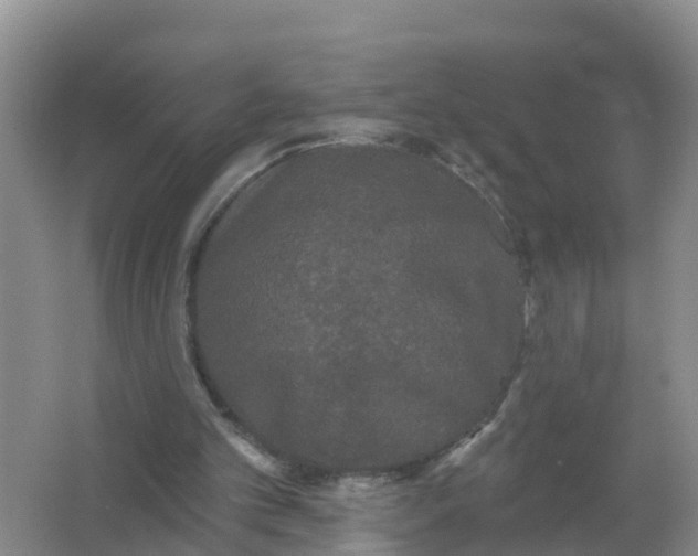 X0000066930101200604071857