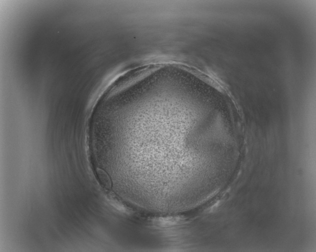 X0000066930103200604071856