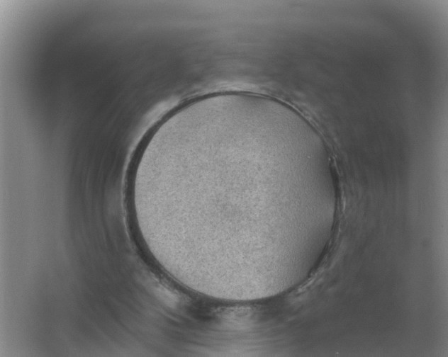 X0000066930104200604071856