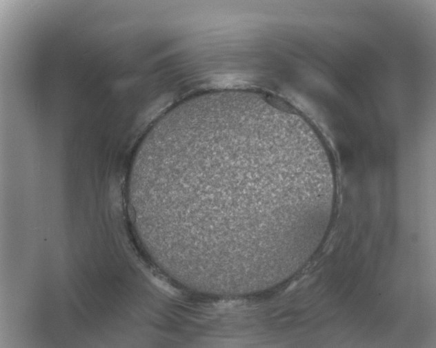 X0000066930105200604071856