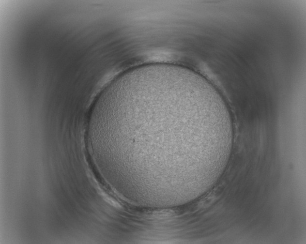 X0000066930106200604071856