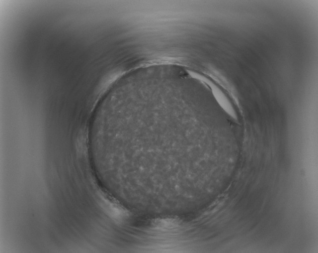 X0000066930107200604071856