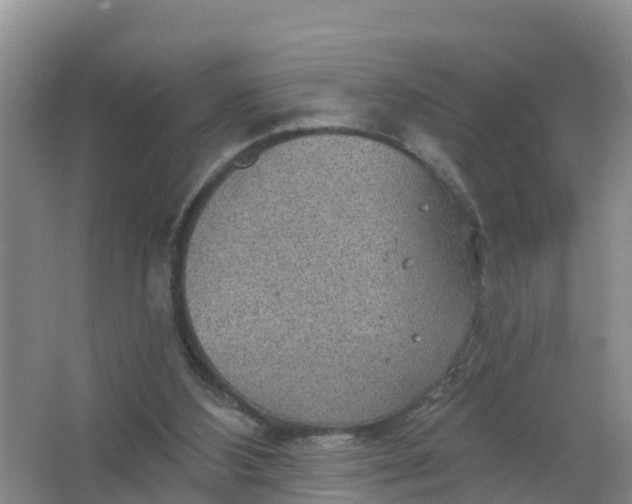 X0000066930108200604071856