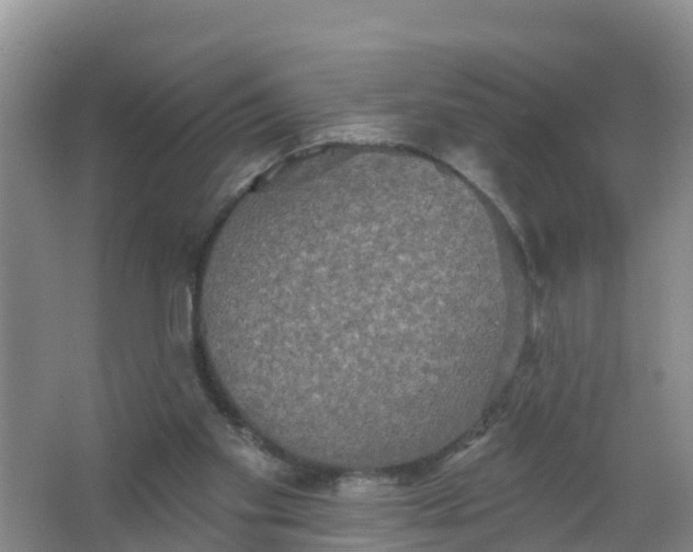 X0000066930109200604071856