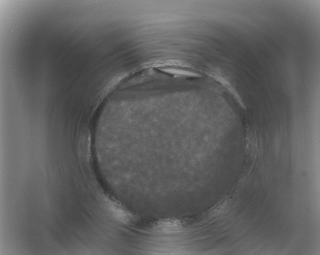 X0000066930110200604071856