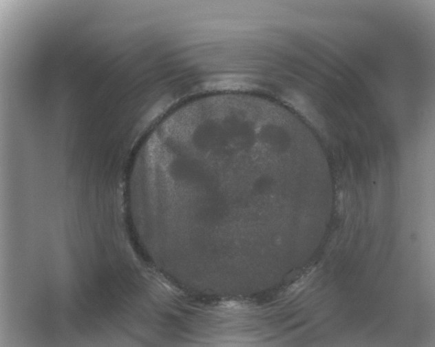 X0000066930111200604071856