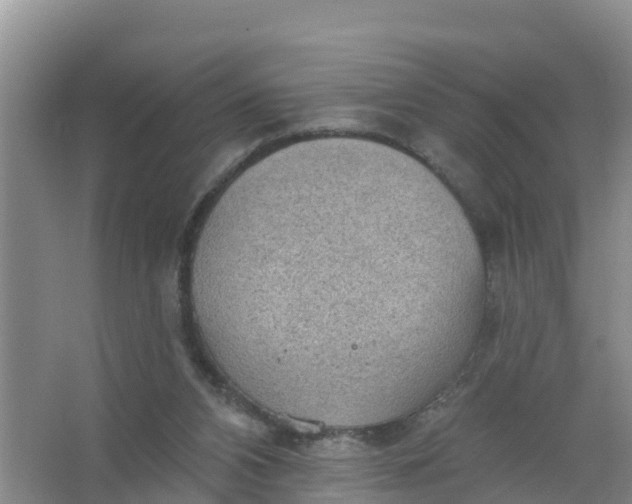 X0000066930112200604071856