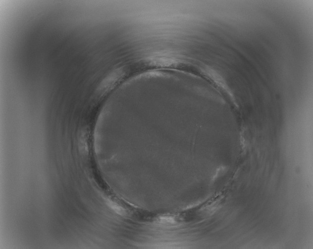 X0000066930114200604071856