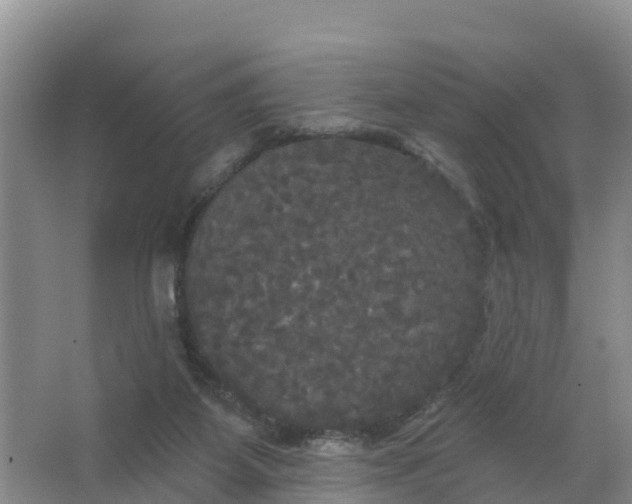 X0000066930115200604071856