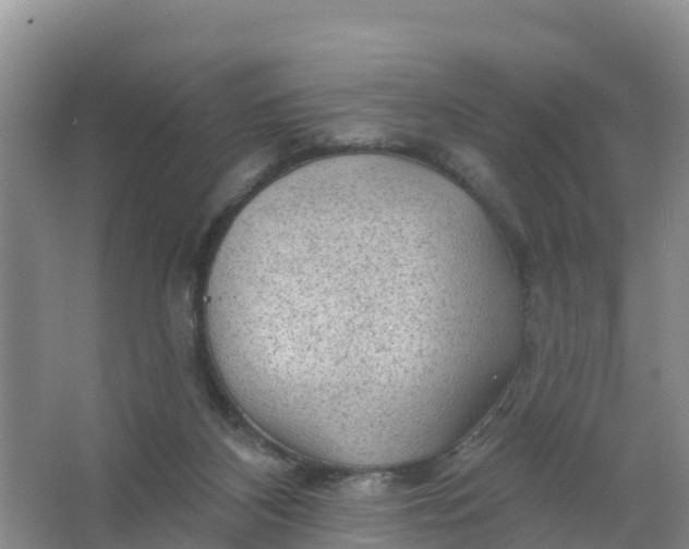 X0000066930116200604071856