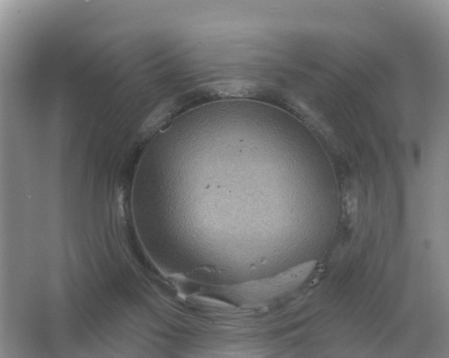 X0000066930117200604071856