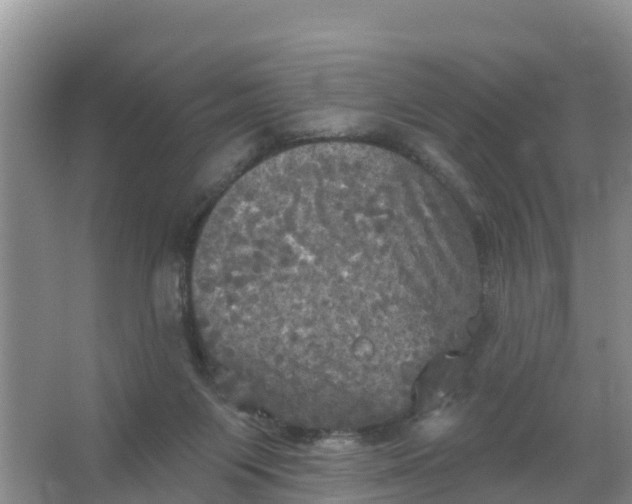 X0000066930119200604071856