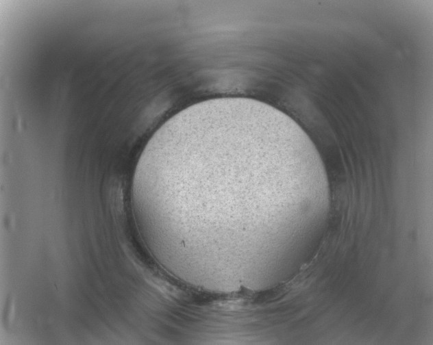 X0000066930120200604071856