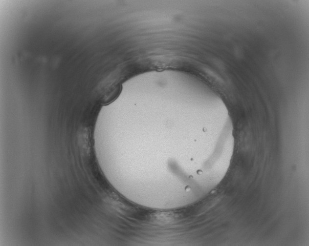 X0000066930121200604071856