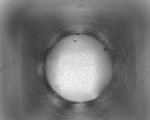 X0000066930122200604071856