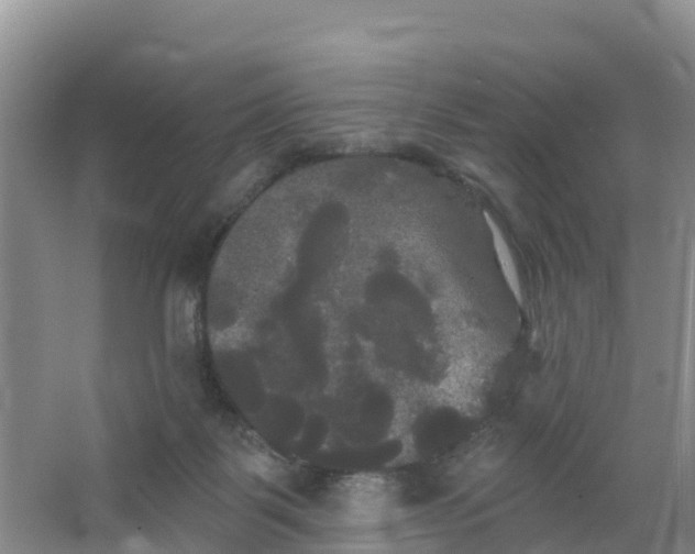 X0000066930123200604071856