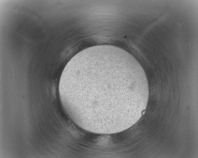 X0000066930124200604071856